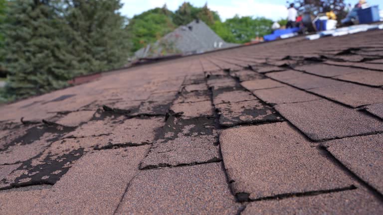 Best Roof Coating and Sealing  in St Francis, MN