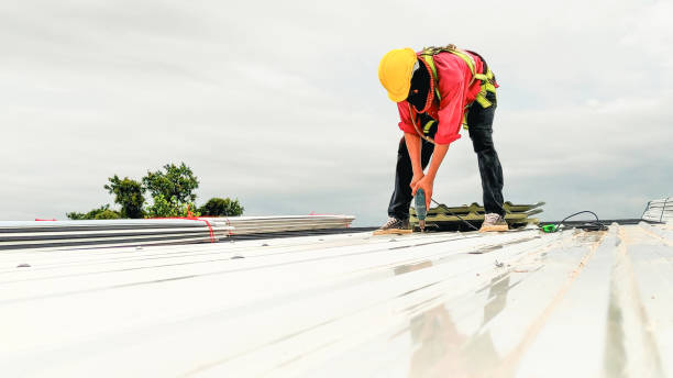 Best Commercial Roofing Services  in St Francis, MN