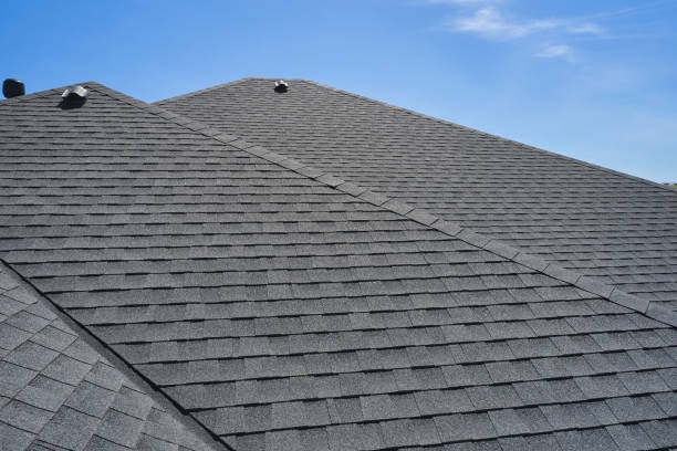 Best Roof Leak Repair  in St Francis, MN