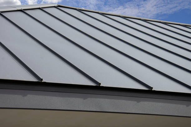 Best Roof Insulation Installation  in St Francis, MN
