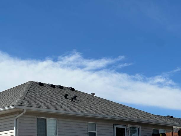 Best Emergency Roof Repair Services  in St Francis, MN